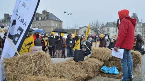Grippe aviaire : les éleveurs contre le confinement de leur...